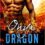 Onyx Dragon (Awakened Dragons) (Volume 1) Review